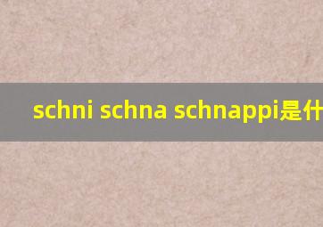 schni schna schnappi是什么歌